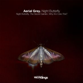 Download track Night Butterfly Aerial Grey