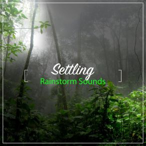 Download track Quiet Rain (Loopable, No Fade) Mother Nature FX