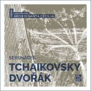 Download track 08. Serenade For Strings In C Major, Op. 48 - III. Elegie Archi Di Santa Cecilia