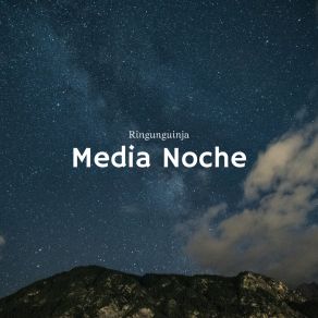 Download track Media Noche Ringunguinja