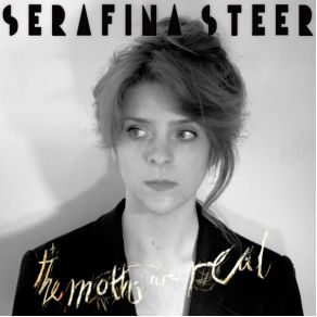 Download track Moth Club Boiler Woes - - Interlude - - Serafina Steer