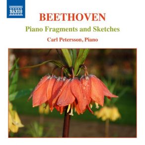 Download track 3 Drafts For Piano, Bia. 276 (Reconstr. A. W. Holsbergen) Carl Petersson