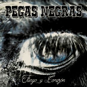 Download track Nuevo En La Ciudad Pegas Negras