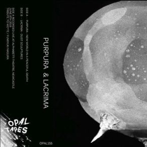 Download track New World In A Peaceful Death Purpura