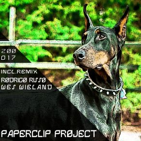 Download track Your Smile (Original Mix) Paperclip Project