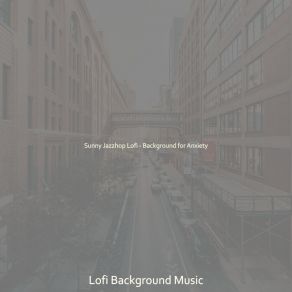 Download track Music For Stress Relief - Chill Hop Lo Fi Lofi Background Music