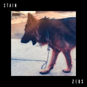 Download track Seize The Day The Stain