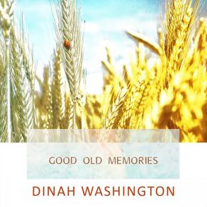 Download track It's A Mean Old Man's World Dinah Washington