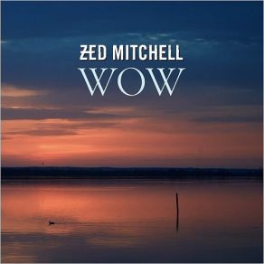 Download track Now Is Our Time Zed Mitchell