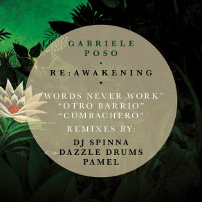 Download track Words Never Work (DJ Spinna Galactic Soul Remix) Pamel