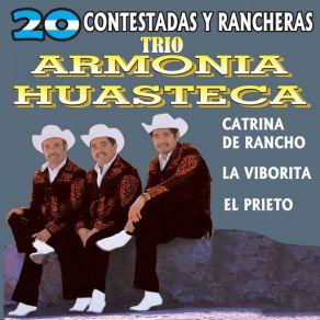 Download track Eres Ajena Trio Armonia Huasteca