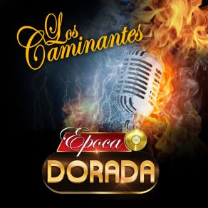 Download track Botellitas De Licor Los Caminantes