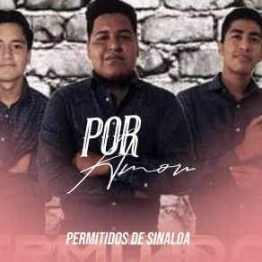 Download track Su Perfume Encantador Permitidos De Sinaloa