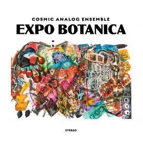 Download track La Corde Sensible Cosmic Analog Ensemble