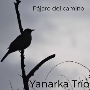 Download track De Ahicito Yanarka Trío