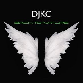 Download track Seas Of Light DJKC