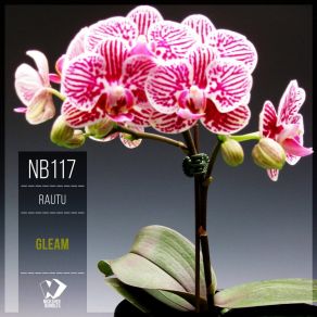 Download track Gleam (Original Mix) Rautu