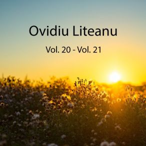 Download track Iubire, Mântuire Ovidiu Liteanu