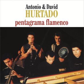 Download track Siempre Por Los Rincones (Seguiriya De Manuel Torres) David Hurtado