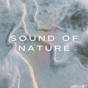 Download track Powwow Ocean Sounds Of Nature Noise