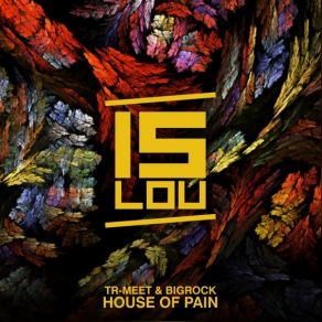 Download track House Of Pain (Radio Mix) BIGROCK