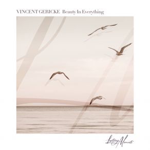 Download track Beauty In Everything (Acoustic Version) Vincent Gericke