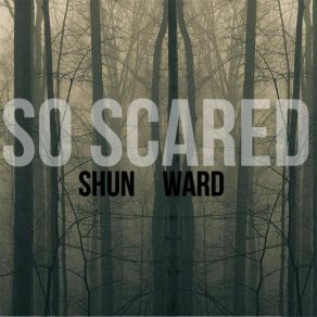 Download track So Scared (Instrumental) Shun Ward