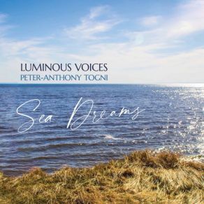 Download track Silentio Luminous Voices