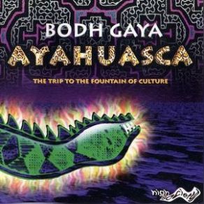 Download track Flight Beyond Milky Way Bodh Gaya