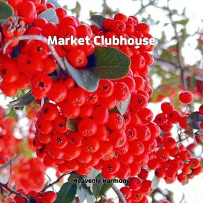 Download track Market Clubhouse Heavenly Harmony