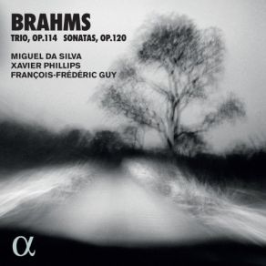 Download track Brahms: Viola Sonata No. 1 In F Minor, Op. 120: III. Allegretto Grazioso Miguel Da Silva, Francois-Frederic Guy, Xavier Phillips