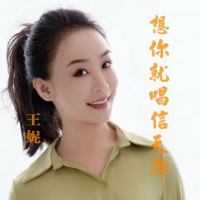 Download track 想你就唱信天游 王妮