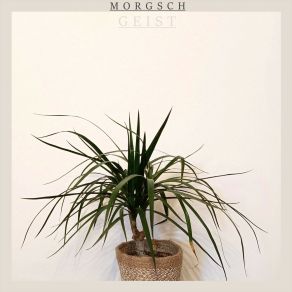 Download track The Moonlit Sky Ablaze Morgsch