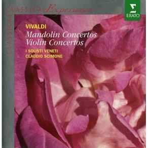 Download track 17. Concerto For Violin Double String Orchestra Continuo C-Dur RV 581 - II. Largo Antonio Vivaldi