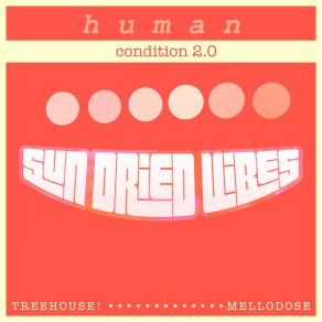 Download track Human Condition 2.0 TreeHouse, Sun-Dried Vibes, Mellodose