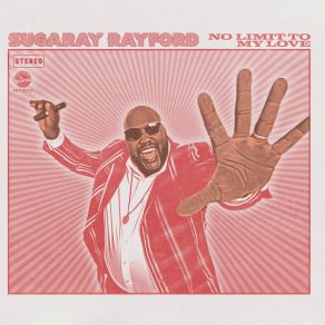 Download track Invisible Soldier Sugaray Rayford