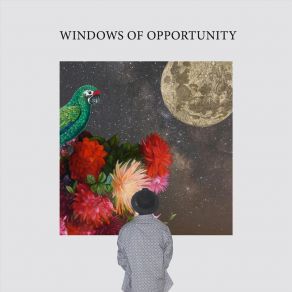 Download track Windows Of Opportunity Adrian Veland