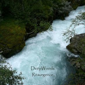 Download track Returning DeepWoods