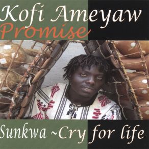 Download track Look Arround Kofi Ameyaw