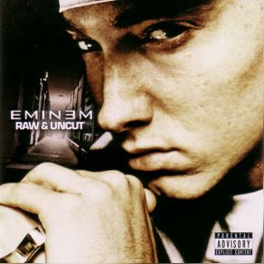 Download track Monkey See Monkey Do Eminem