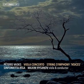 Download track 6. Symphony For Strings Voices - II. Voices Of Life Pēteris Vasks