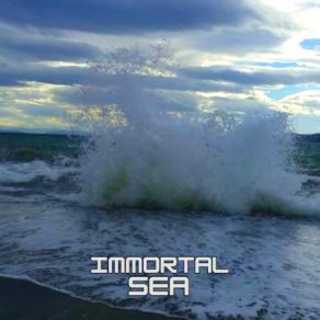 Download track Real Time Immortal Sea