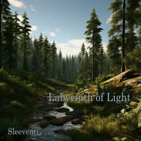 Download track Melodies Of Dawn Sleeventi