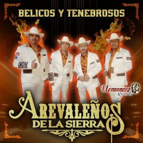 Download track El Corrido De El Güerito Arevaleños De La Sierra De (Tony Arevalo)