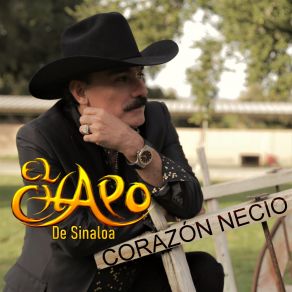 Download track Porque Eres Mi Reina El Chapo De Sinaloa