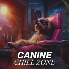 Download track Gentle Gains For Paws Dog Relaxation