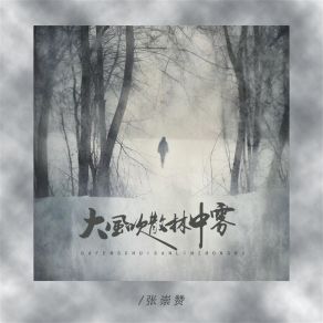 Download track 大风吹散林中雾 (伴奏) 张崇赞