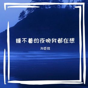 Download track 睡不着的夜晚我都在想 刘臣铭