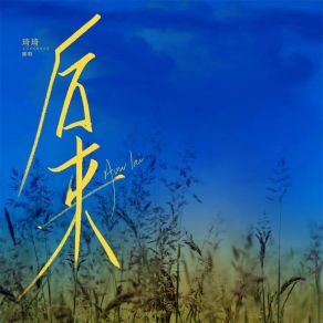 Download track 后来 (伴奏) Qi Qi