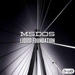 Download track Liquid Foundation Msdos